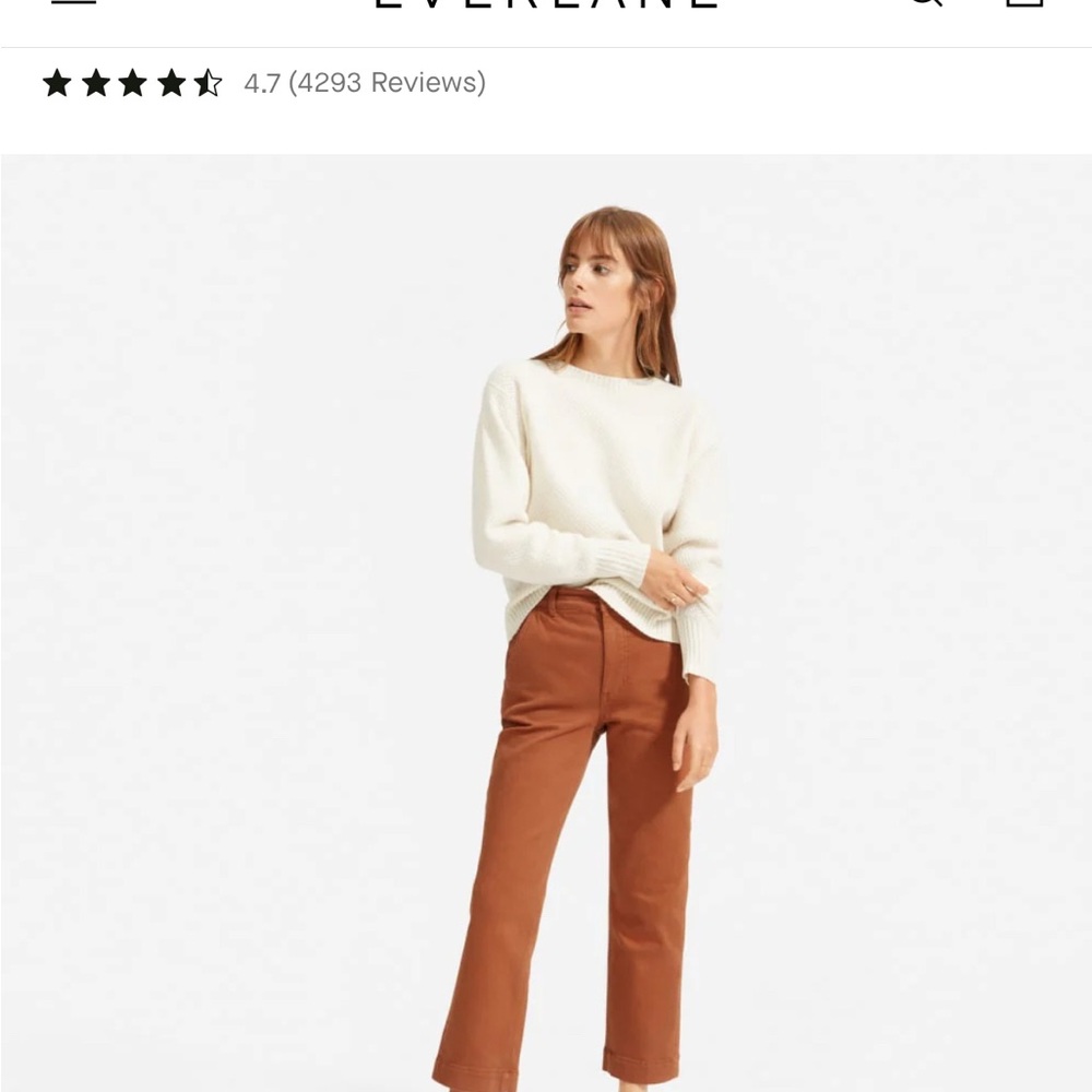 Everlane Women's the Straight-Leg Crop Trouser Size 8 Rust